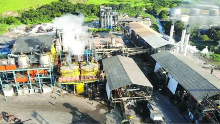 Previsto para a segunda quinzena de agosto, início da safra vai depender dos índices pluviométricos na região canavieira do Estado