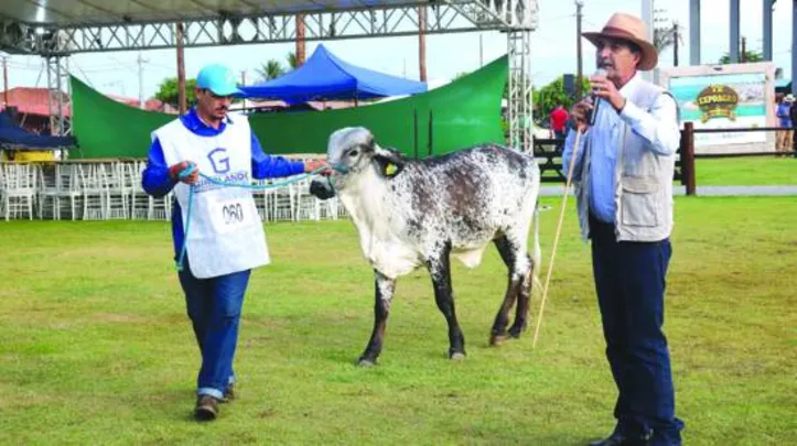 Qualidade dos animais apresentados na pista e no leilão foi observada por especialistas das raças