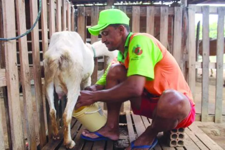 Ministério da Agricultura, junto com o MDA, vai trabalhar o cooperativismo e o associativismo para agregar valor ao produto