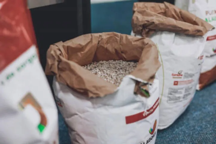 Programa dá acesso as sementes de milho, feijão, sorgo e arroz aos pequenos produtores