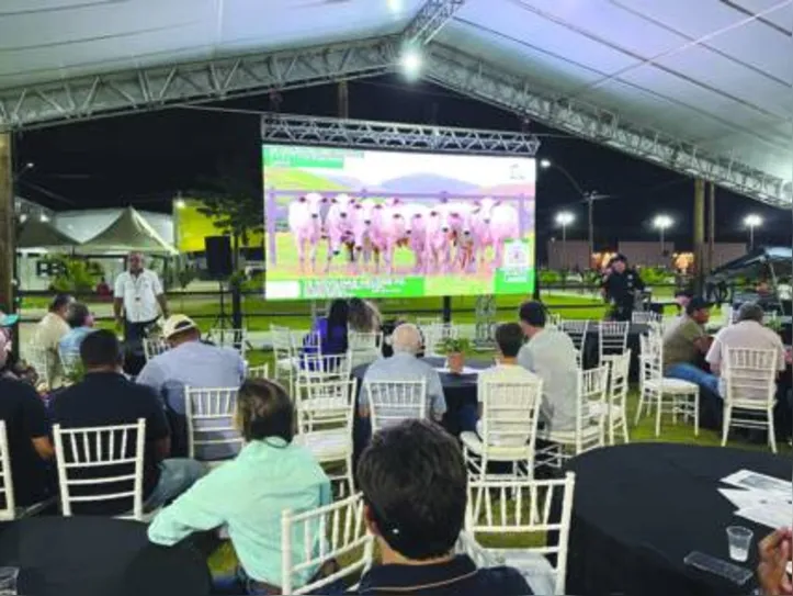Ponto de encontro dos criadores para o remate foi realizado no Parque da Pecuária, em Maceió