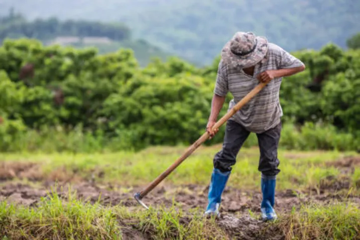 Programa garante seguro financeiro para produtores que não têm condições de arcar com prejuízos gerados pelas temporadas de estiagens ou enchentes