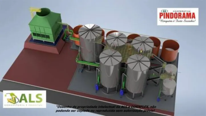Imagem ilustrativa da imagem Pindorama acelera construção de fábricas de beneficiamento de milho