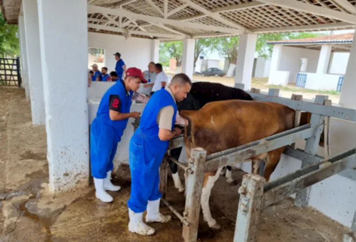 Curso trata também de nutrição, sanidade e melhoramento genético
