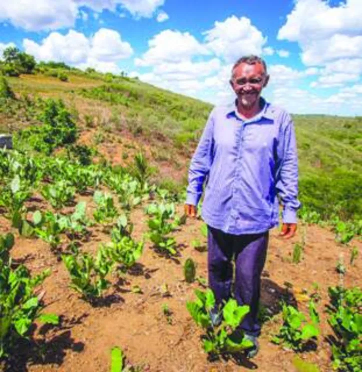 Relatório mostrou que o projeto atingiu os objetivos pretendidos, gerando maiores rendas, produção agrícola, diversidade alimentar e acesso às políticas públicas