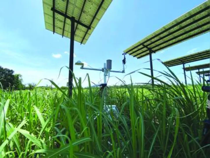 Sete estruturas comportam 210 painéis fotovoltaicos, gerando energia no campo