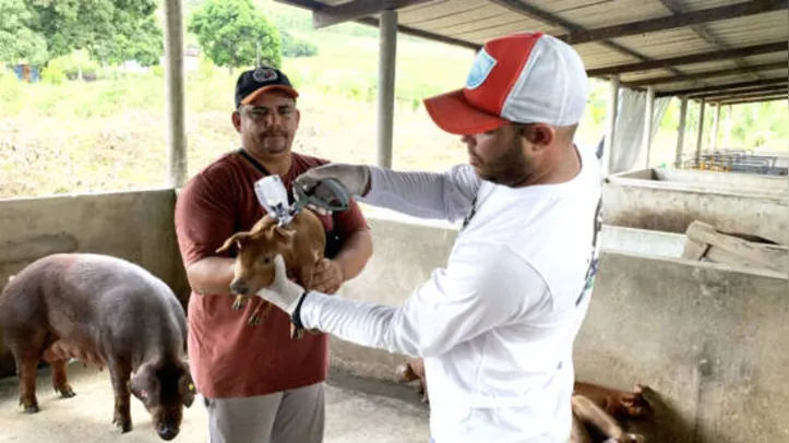 Granja imunizou mais de 200 animais de diferentes idades
