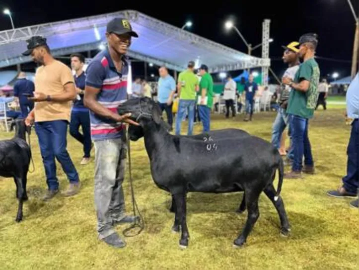 O leilão foi promovido pelos rebanhos Cativa Agroindústria, Rebanho Titara, Rebanho Baixão, Rebanho FTI, Rebanho Goitá, Rebanho Saia Rodada, Rebanho Do Linike, Rebanho F. Filho e Estância Ouro e Prata