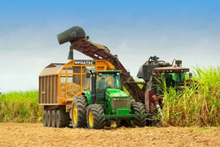 Unidades industriais trabalham para tirar toda a cana do campo