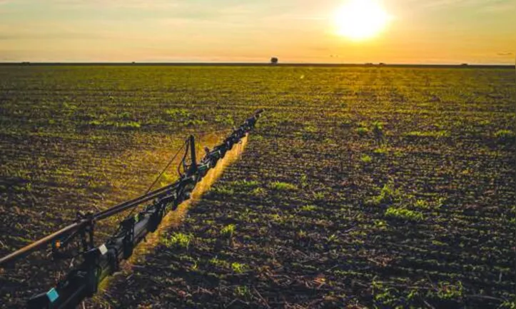 Segundo IBGE, país tem mais de 500 tipos de solos e 32% têm aptidão natural para o cultivo de lavouras