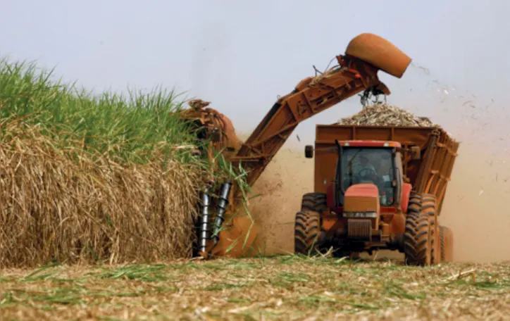 No Brasil, valor da produção agropecuária do ano passado fechou em R$ 1,189 trilhão