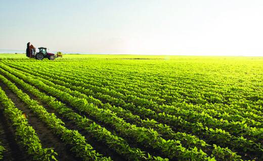 Resultado foi determinado por problemas climáticos no Sul, que afetaram a produção de soja e outras lavouras, além da queda do VBP da pecuária