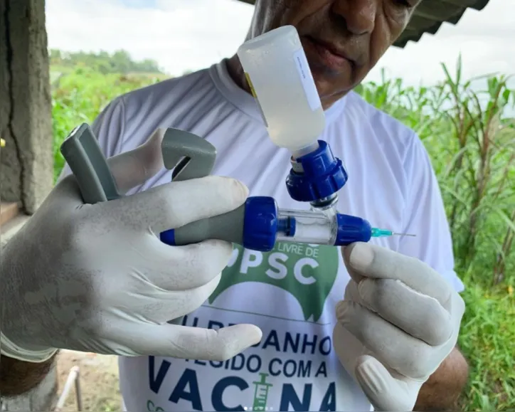 PSC é uma doença que atinge não apenas suínos domésticos, mas também os asselvajados