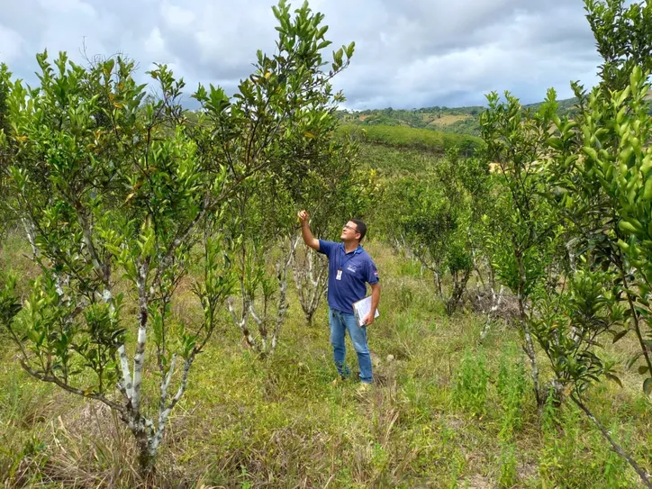 Trabalho de campo segue até o dia 31 deste mês de março