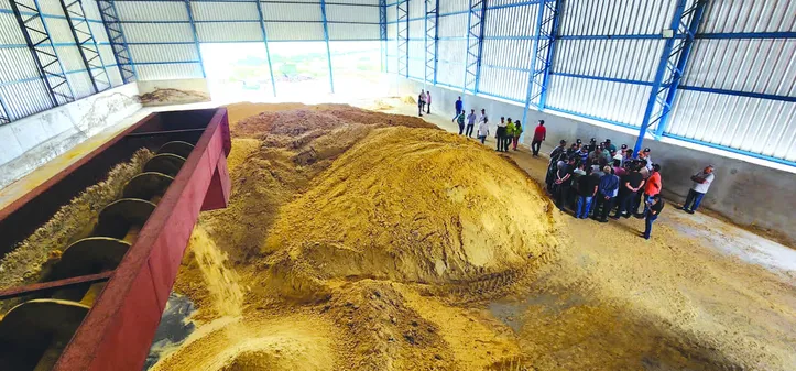 WDG surge como uma possibilidade de oxigenar a pecuária, tanto pelos requisitos nutricionais como pela economia