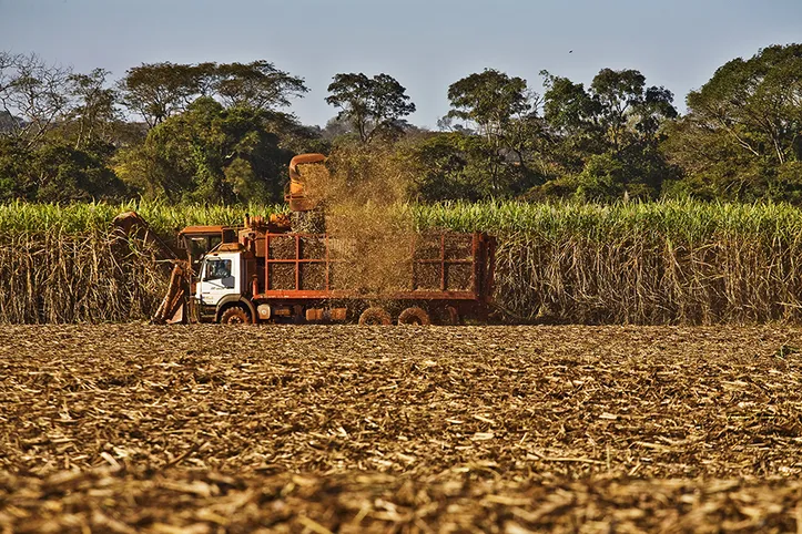 Produtividade agrícola média, na safra 22/23, foi de 73,3 toneladas de cana por hectare