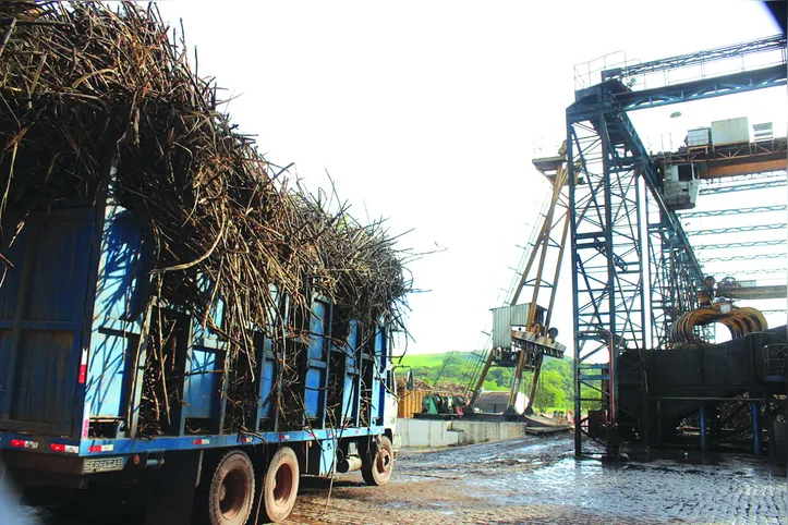 Moagem deve se estender, na maioria das usinas, até o próximo dia 15