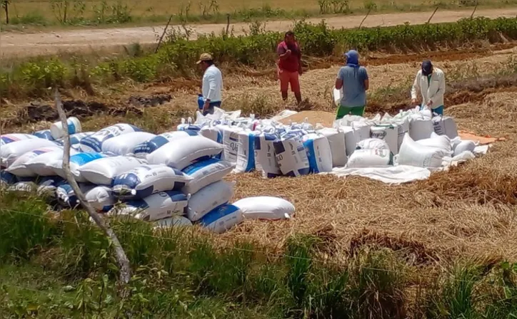 Projeto contemplará o volume total de dez mil quilos