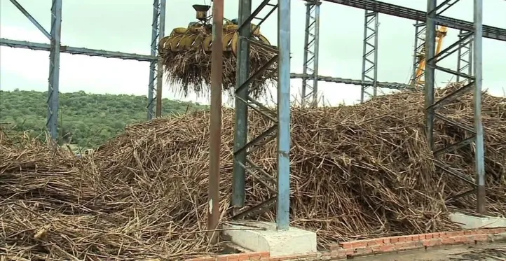 Imagem ilustrativa da imagem DICA RURAL (Fim de Semana, 01 e 02/07/2023)