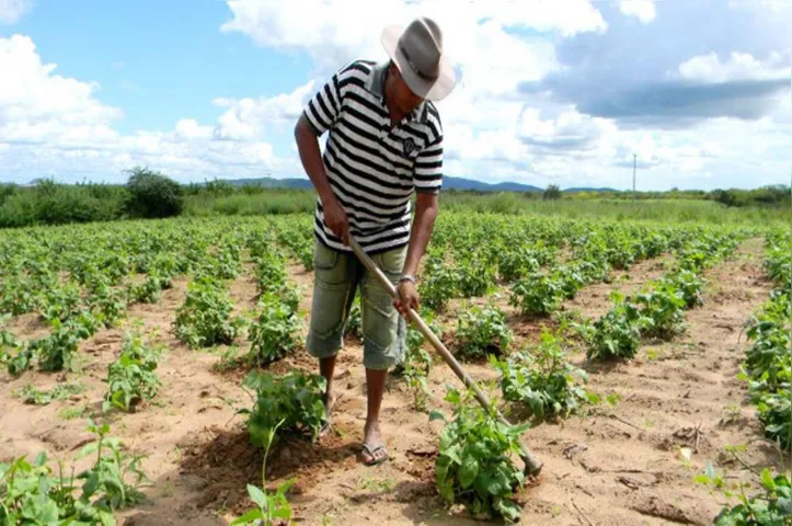 Imagem ilustrativa da imagem DICA RURAL (Fim de Semana, 22 e 23/07/2023)