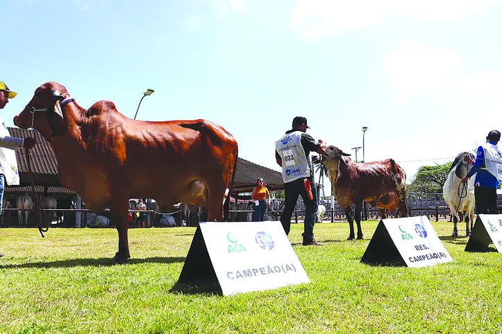Animais de raças leiteiras serão destaque na exposição