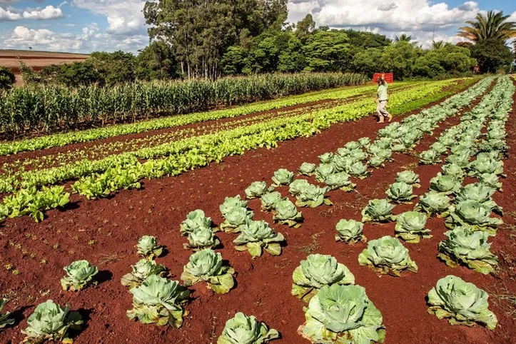 Retorno do programa é acompanhado de reajuste no valor individual a ser comercializado por agricultoras e agricultores familiares