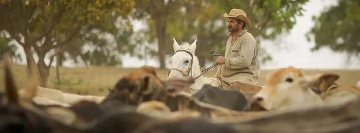 Recurso é usado para fortalecer o setor rural