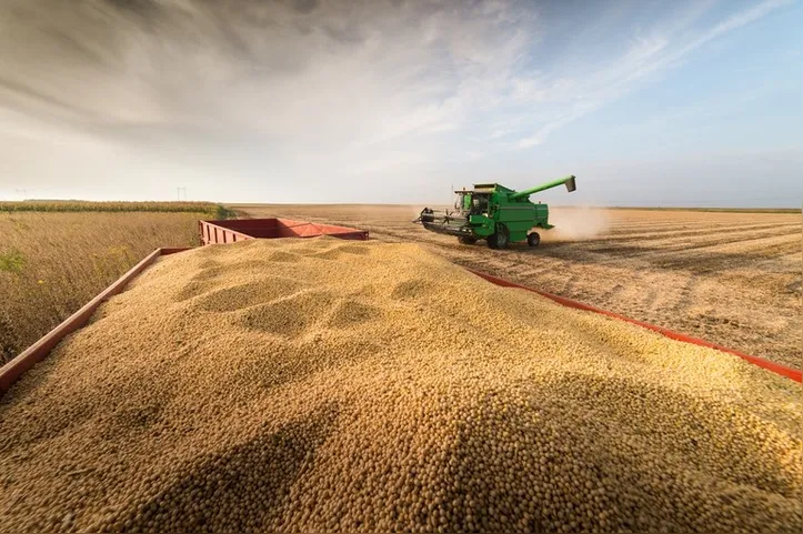 Soja se destaca com o maior crescimento neste ciclo com uma produção de 155,7 milhões de toneladas