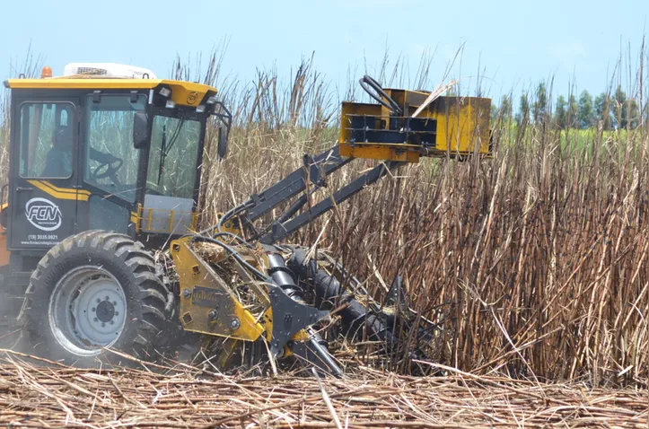Foram esmagadas quase 19,6 milhões de toneladas de cana até a primeira quinzena de abril