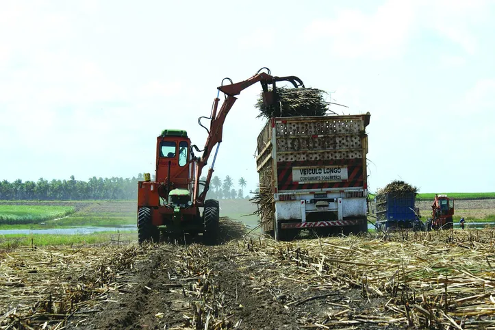 Dados da produção até o dia 15 de março apontam que, face ao mesmo período do ano passado, quando o acumulado era de 17,6 milhões de toneladas, foi registrada uma variação de - 1,2%