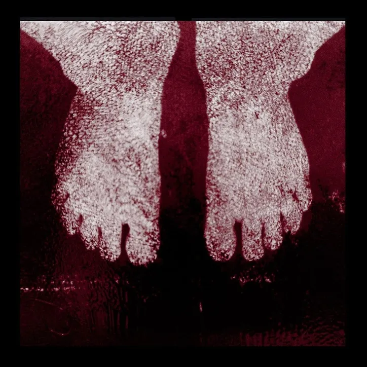 Trabalho da exposição “Lírios, rosas e outras flores”, que reúne fotografia expandida e poesia na primeira individual de Gabi Coêlho