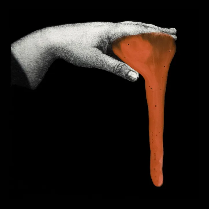 Fotografia autoral de Gabi Coêlho com intervenção em tinta integra a exposição “Lírios, rosas e outras flores”, em Alagoas