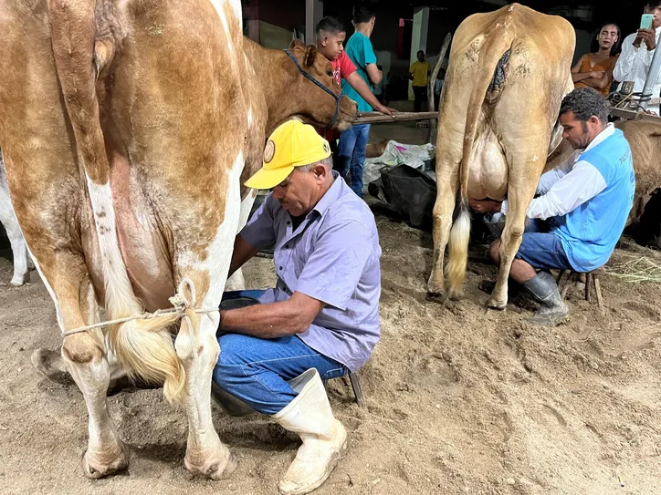 O 3º Torneio Leiteiro de Poço de Pedras, em Belo Monte, deu pontapé na realização do circuito alagoano