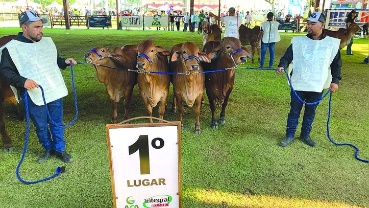 Imagem ilustrativa da imagem Expoagro bate novo recorde de negócios