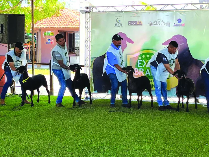 Imagem ilustrativa da imagem Expoagro bate novo recorde de negócios