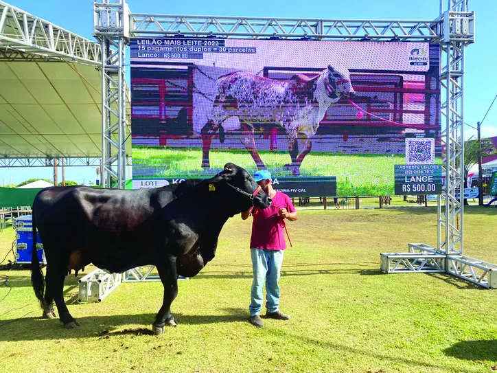 Exposição acontece no período de 21 a 29 de outubro, no Parque da Pecuária, em Maceió