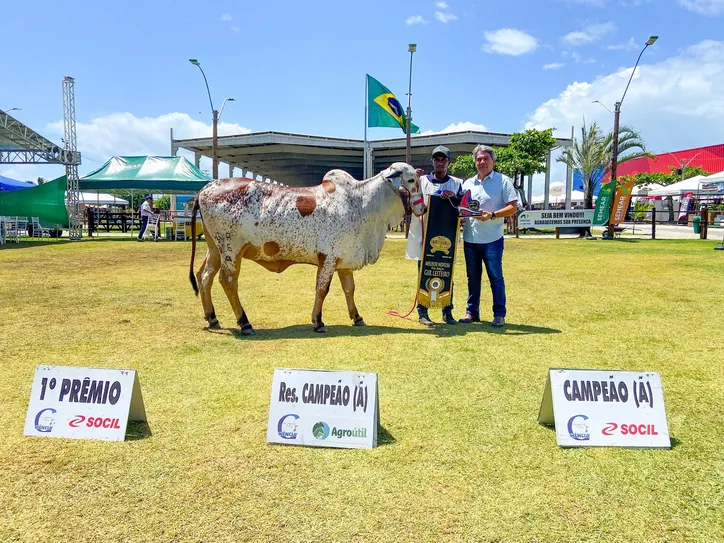 Além da exposição de animais, programação técnica vai contar com leilões, shopping e julgamento