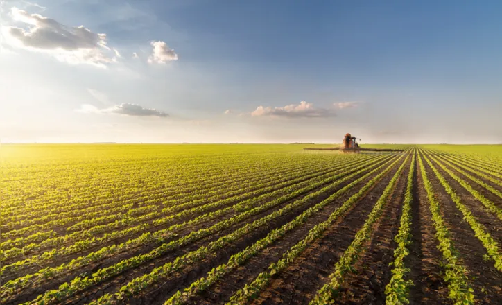 PSR contempla 106 mil apólices, beneficiando mais de 74 mil produtores em uma área de aproximadamente 5,5 milhões de hectares