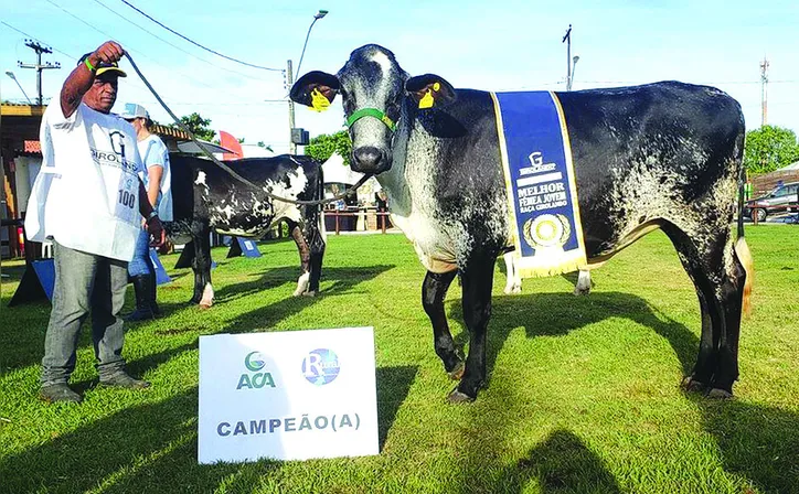 Expoagro deve reunir mais de três mil animais no Parque da Pecuária
