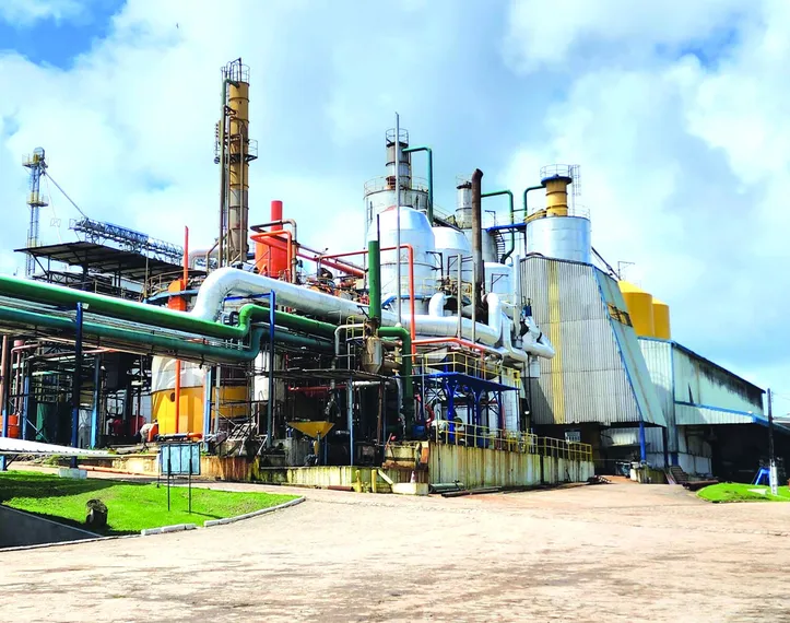 Cooperativa tem a expectativa ainda de uma produção de 65 milhões de litros de etanol, entre cana e milho, e mais de 1,2 milhão de sacos de açúcar
