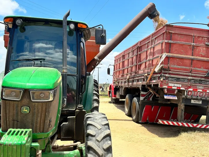 Diante de cenário de crescimento, a produção média na região começa a variar e alcançar a marca de oito até 12 mil quilos, por hectare