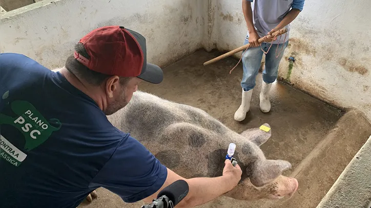 Imagem ilustrativa da imagem DICA RURAL (Fim de Semana, 11 e 12/11/2023)