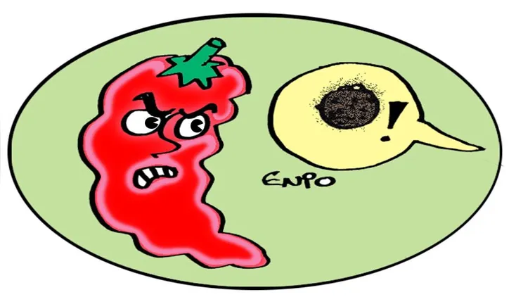 Imagem ilustrativa da imagem Confira os destaques da política nacional #CH18062024