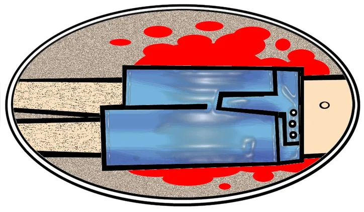 Imagem ilustrativa da imagem Confira os destaques da política nacional #CH31082024