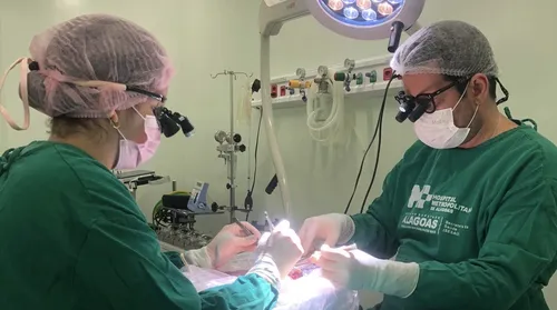 Doações de órgãos crescem em AL e aumentam a esperança de quem aguarda na fila por um transplante - Imagem