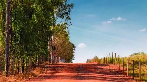 Governo lança Programa Nacional de Estradas Rurais para fortalecer escoamento agropecuário - Imagem