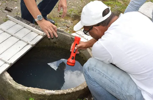 Casos de dengue caem 65% em Alagoas, aponta Ministério da Saúde