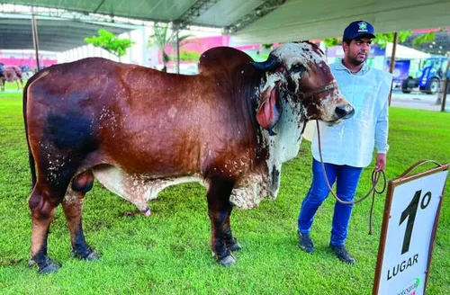 Evento reúne criadores e destaca melhoramento genético no setor agropecuário