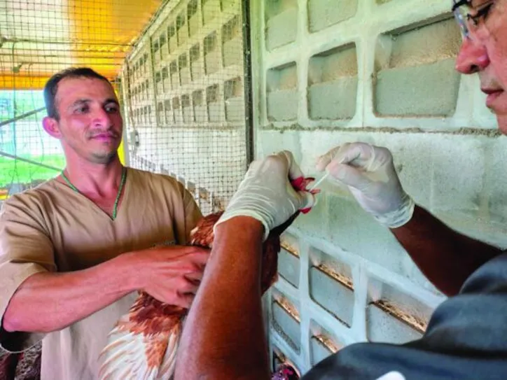 Expectativa da Adeal é concluir a coleta de amostras até 4 de abril