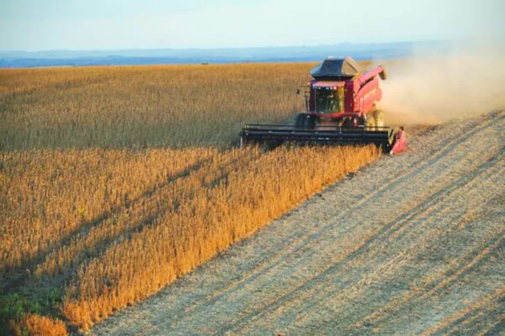 A produtividade média nacional deve alcançar 61,6 sacas por hectare, um aumento de 9% em relação à safra anterior